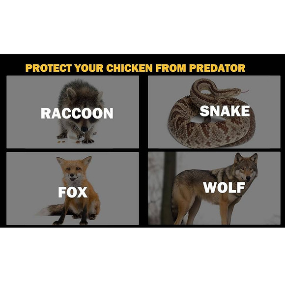 New MAYNOS Automatic Smart Metal Chicken/Animal Door - Picture 7 of 10